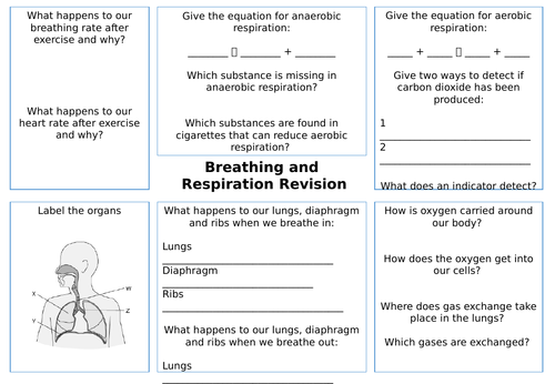 Breathing and Respiration Revision Sheet
