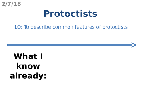 Protoctists