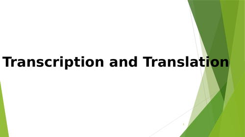 Transcription, Translation, DNA replication A-Level Biology Tutoring lesson