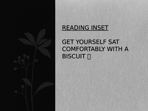 Staff INSET on Reading