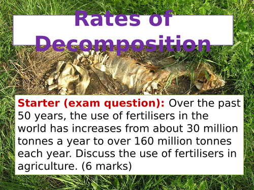 cB9 Rates of Decomposition (Separate Science)