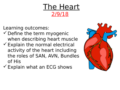A2 Biology: The Heart and Electrical Activity