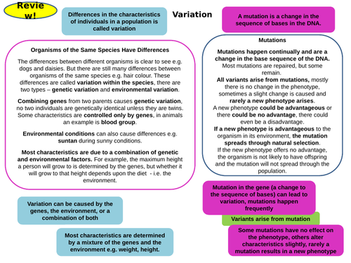 Variation and Evolution Topic 6 Part 2 Active Revision Card Activities for New AQA Biology GCSE
