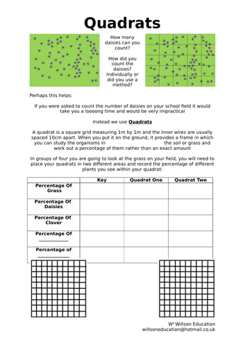 Using Quadrats