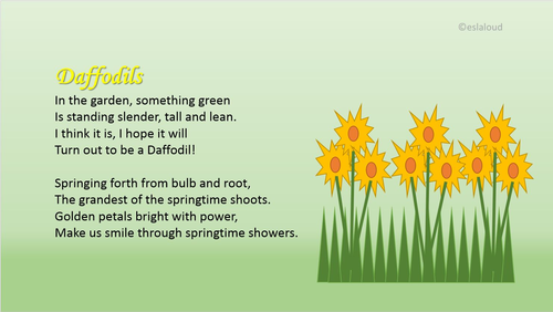 Daffodil Poem and Resources