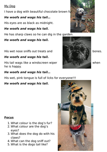 Pet Poems plus extra guided reading and grammar sheets