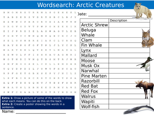 Arctic Creatures Wordsearch Puzzle Sheet Keywords Settler Starter Cover Lesson Animals Nature