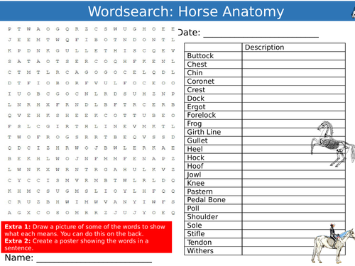 Horse Anatomy Wordsearch Puzzle Sheet Keywords Settler Starter Cover Lesson Animal Nature