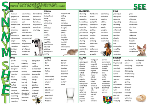 Synonym Learning Mat