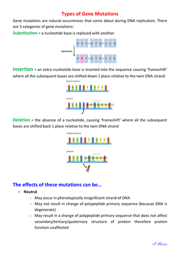 Types of Gene Mutations