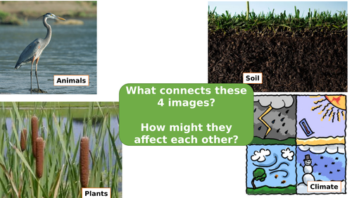 Tropical Rainforests - Living World - AQA GCSE Geography