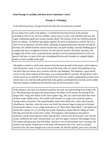 CIE IGCSE English First Language (0500) - Paper 2