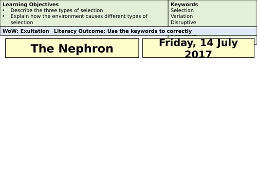 AQA A-Level Biology The Nephron- Lecture Notes