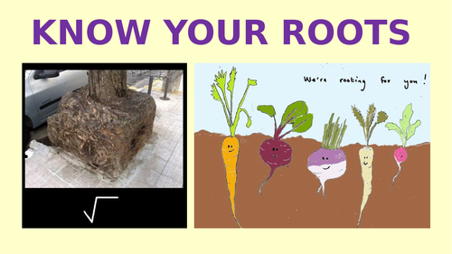 KS3 KS4 GCSE Science Literacy Root Words and Meanings | Teaching Resources