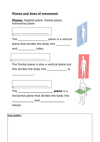 AQA GCSE PE Planes and Axes Worksheet