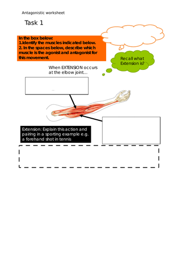 Antagonistic Pairs Worksheet