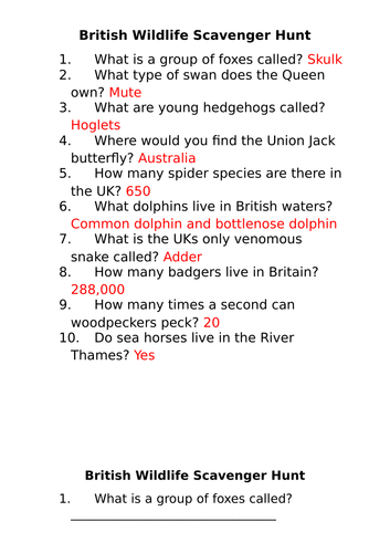 Online British Wildlife Scavenger Hunt