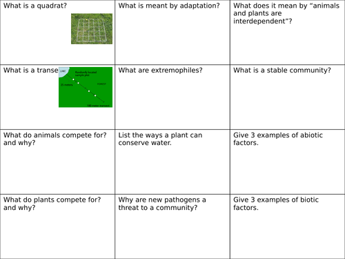 B15 - Adaptation Revision with ANSWERS