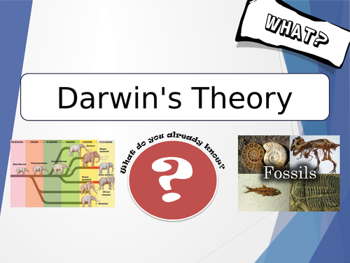 CB4b Darwin's theory