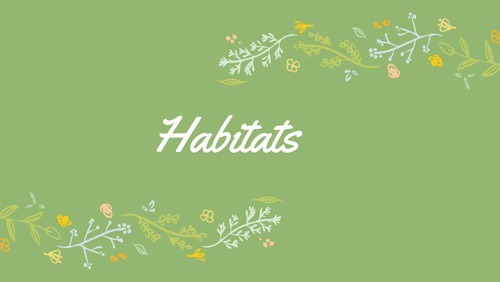 Habitats: presentation and worksheet 