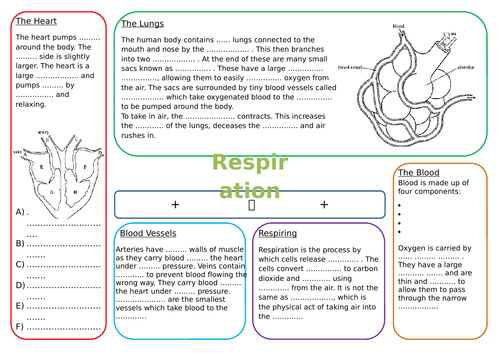 KS3 Respiration Revision Mat | Teaching Resources