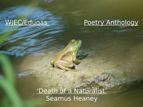 Mini Poetry Scheme - 'Death of a Naturalist' - Heaney - WJEC/Eduqas - 9-1