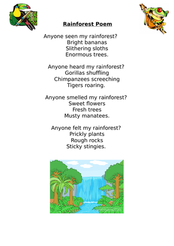 Rainforest Poem