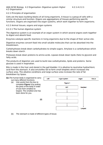 AQA GCSE Combined Trilogy/Biology Organisation 4.2 Revision