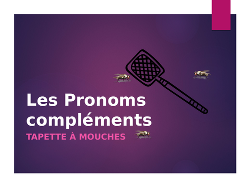 Pronoms compléments (French Object Pronouns) Tapette à mouches Flyswatter