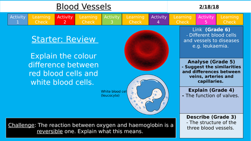 NEW AQA GCSE (9-1) - Blood Vessels (Organisation)