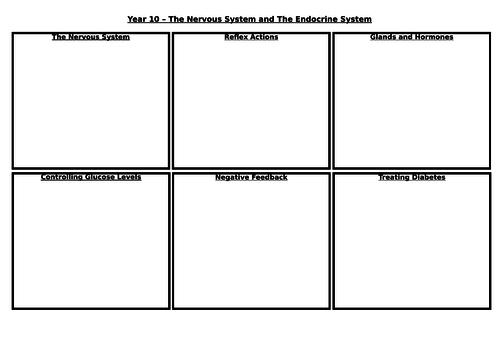 NEW GCSE AQA (9-1) - Homeostasis Revision