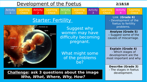 NEW AQA KS3 - Development of the Foetus (Reproduction)