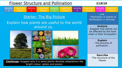 NEW AQA KS3 - Flower Structure and Pollination