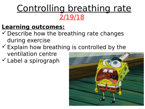 A2: Controlling the Breathing Rate. The role of the respiratory centre.