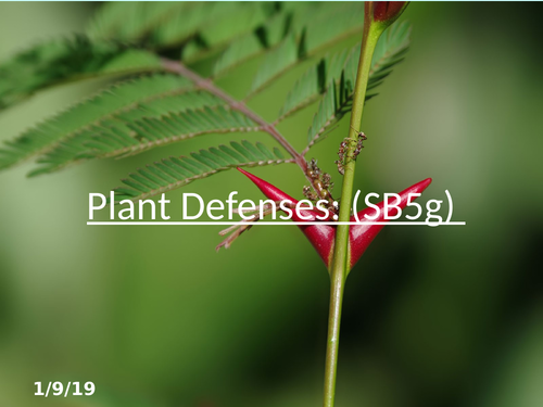 SB5g Plant Defences