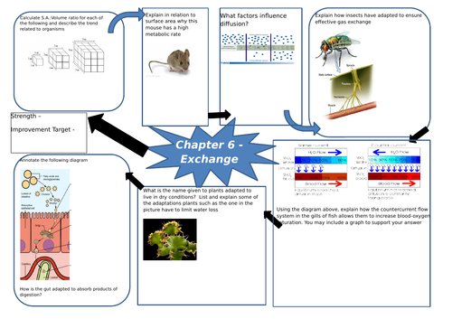 A-Level Biology Revision Maps