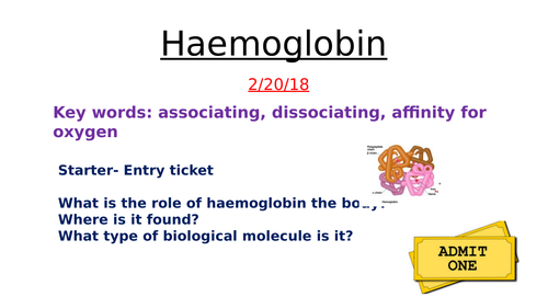 Haemoglobin, oxygen dissociation and Bohr effect