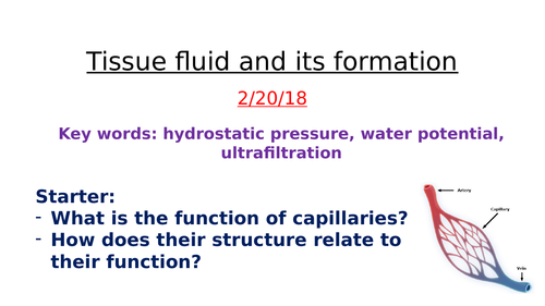 Tissue fluid formation AQA Biology A level