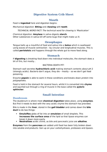 Digestive system crib sheet