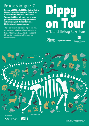 Dinosaurs and Birds - Overview of the Dippy on Tour resources for 4-7s