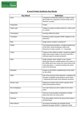 Sample synthesis paragraph picture