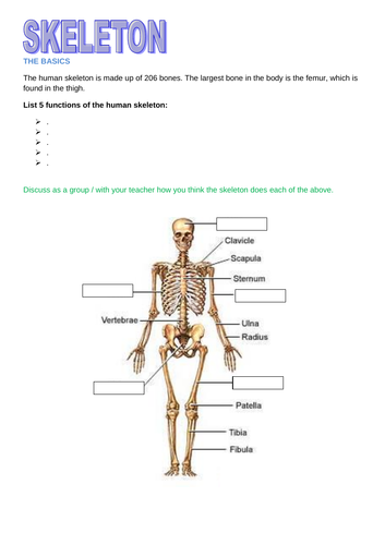 Healthy living mini project