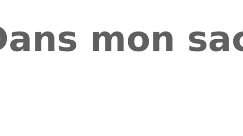 Access Studio 1.4 - dans mon sac