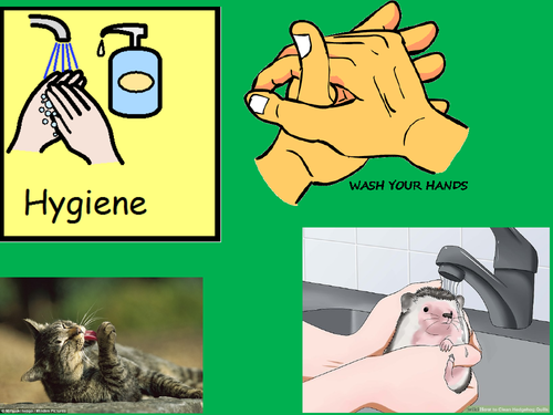 Personal Hygiene