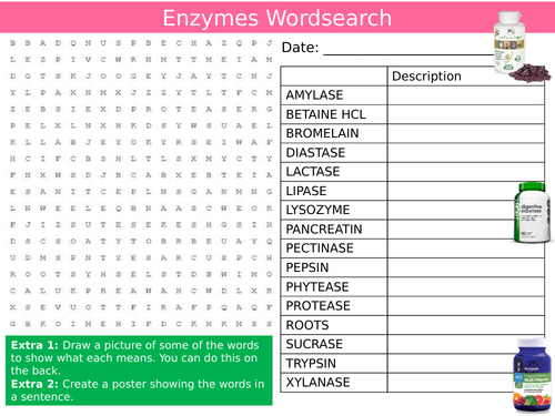 Enzymes Names Wordsearch Puzzle Sheet Keywords Settler Starter Cover Lesson Science Biology