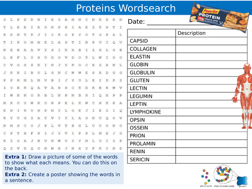 Proteins Wordsearch Puzzle Keywords Settler Starter Cover Lesson Science Biology Food Technology