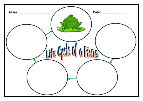Life Cycle of a Frog - 3 page booklet