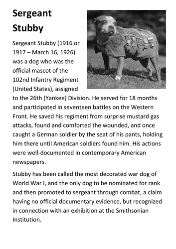 Sergeant Stubby Handout