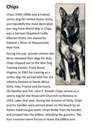 Chips the War Dog Handout