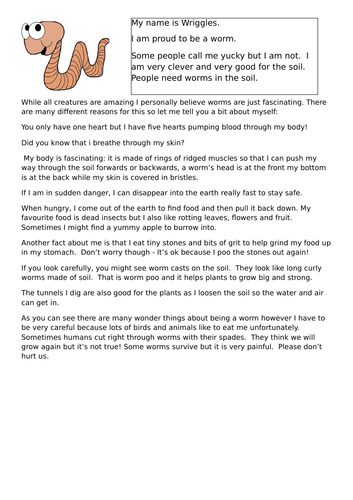 Y3 diary of a worm modelled text